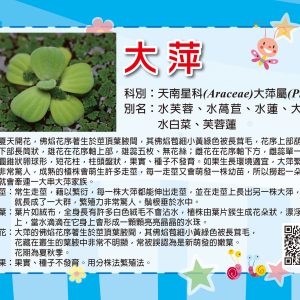 大嘉–植物解說牌