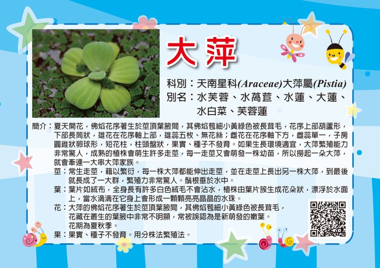 大嘉–植物解說牌