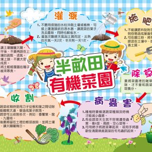 大榮國小–有機菜園