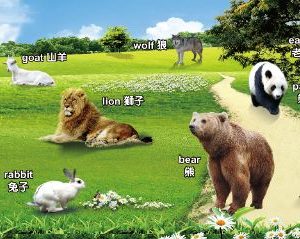 東興國小，動物園大圖